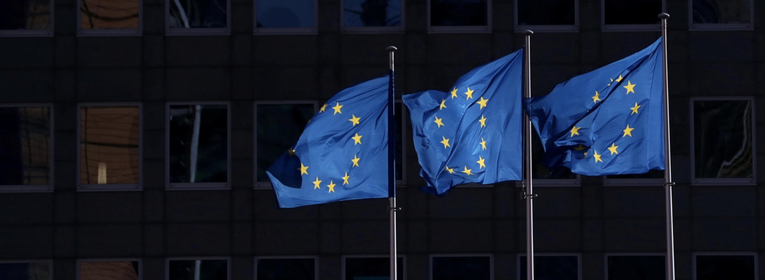 Op-Ed: The European Union’s deficient response to COVID-19 disinformation