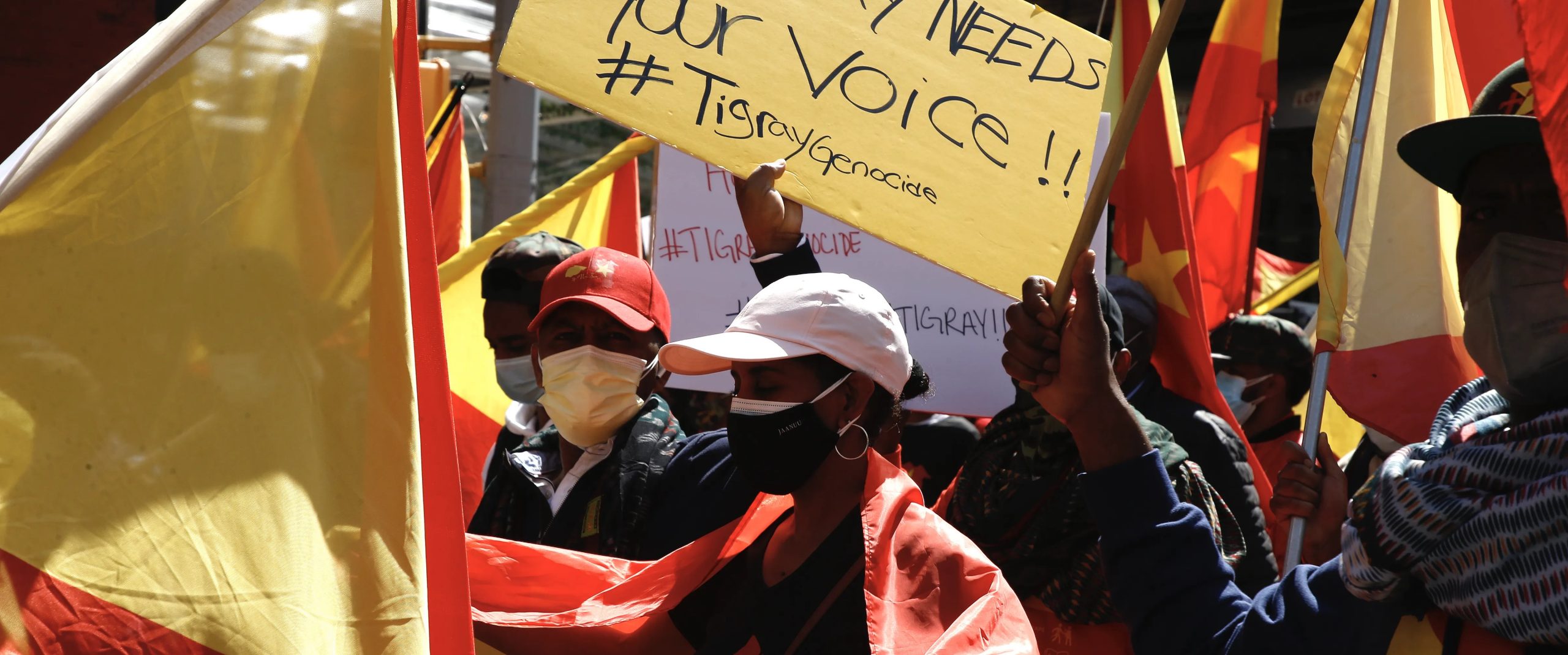 Ethiopian diaspora groups organize click-to-tweet Tigray campaigns amid information scarcity