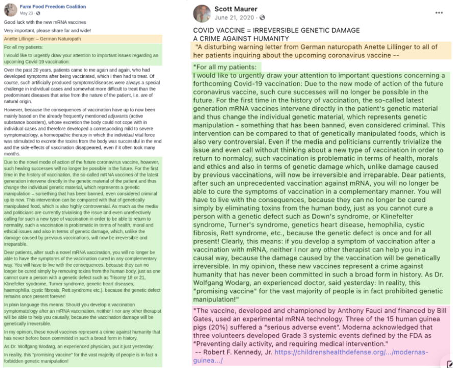 Comparison of the letter attributed to the fictional doctor “Anette Lillinger” (yellow boxes) morphing into a shorter post (green boxes) that includes a quote by Robert F. Kennedy Jr. (pink box). 