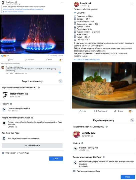 Screenshots of pages, posts, and page transparency sections showing the naming pattern of a page, example of a post and page manager location according to Facebook