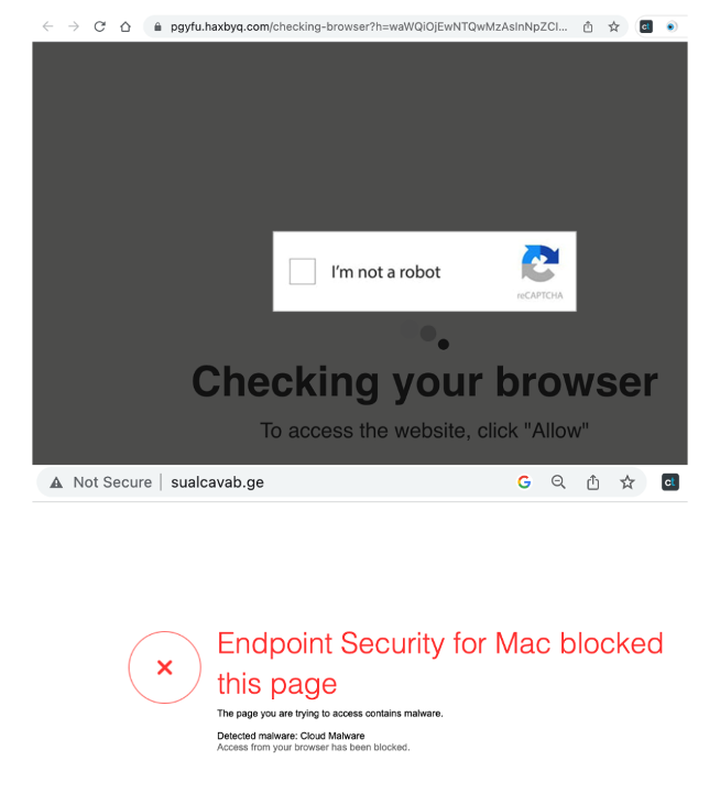 Screenshots of two websites containing malware. Haxbyq (top) tricks users into subscribing to notifications to generate ad revenue. Sualcavab (bottom) contains cloud malware that can steal data. 