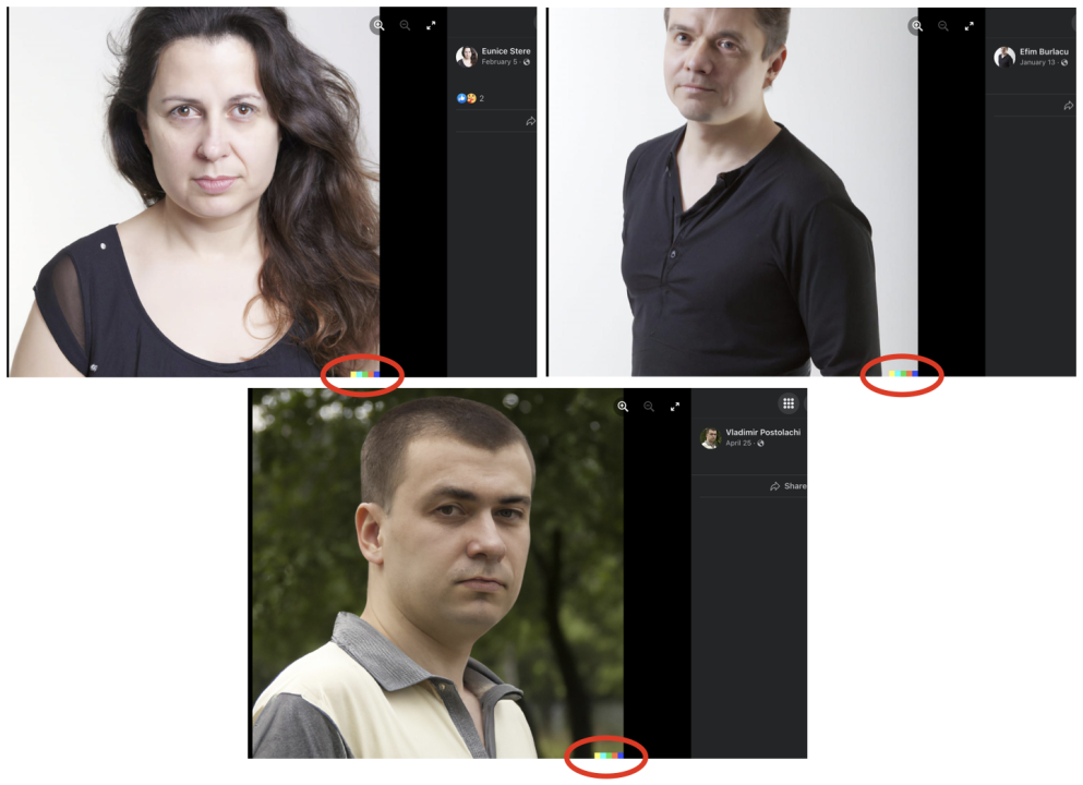 Screenshots of some of the accounts that used profile pictures generated by DALL-E, as evident by the watermark in the bottom right corner (in red circles) of each photo. 