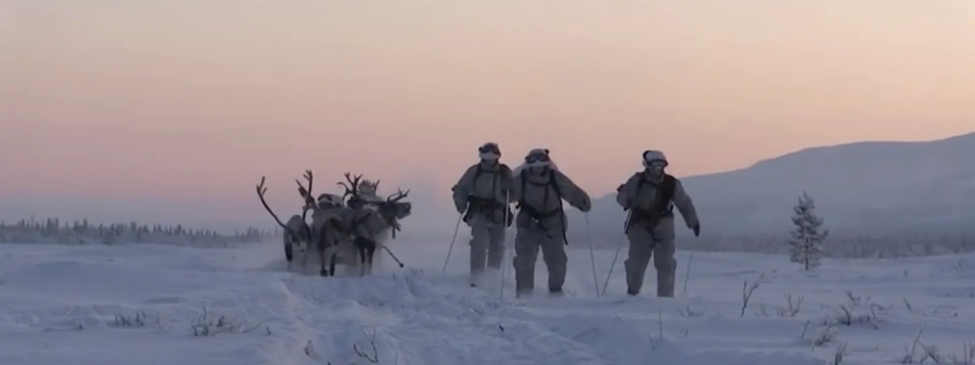 #MeanwhileInTheArctic: Russian Battle Reindeer